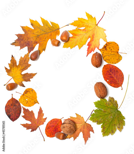 Photo: autumn leaves and nuts autumn leaves and nuts