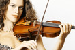 Violin playing violinist musician