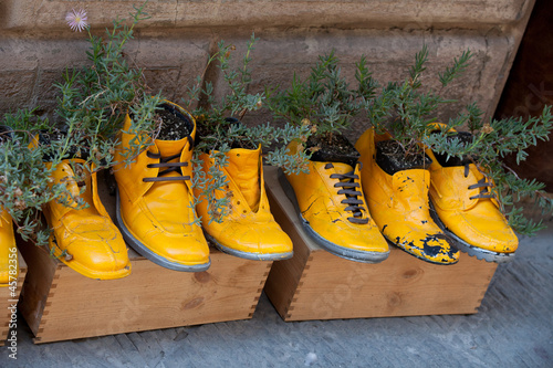 Photo: old shoes processed on flowerpots old shoes processed on flowerpots