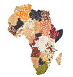 africa food