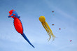 Seahorse and octopus kites in the sky in  a windy day