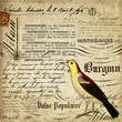 Fond calligraphie et oiseau