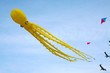Octopus kite in a sunny day of summer