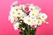 bouquet of daisies on the color background
