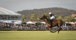 Polo mid flight