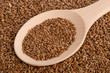 Leinsamen