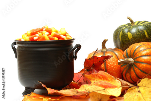 Photo: Halloween Candy Scene Halloween Candy Scene