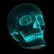 Illustration: Skull Skull