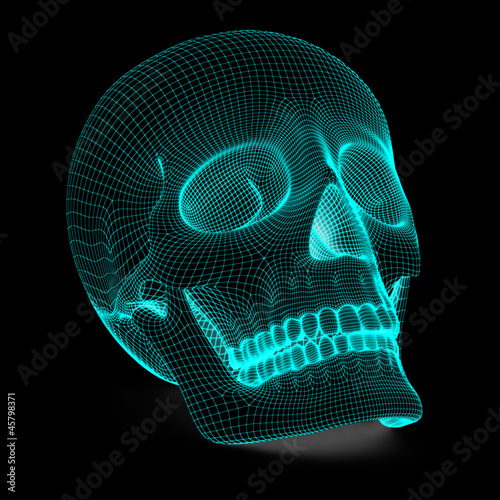 Illustration: Skull Skull