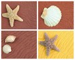 Foto: four sandy backgrounds with shells and starfish four sandy backgrounds with shells and starfish