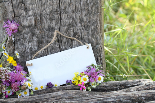 Photo: Schild in Blumen Schild in Blumen