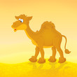 Camel in desert