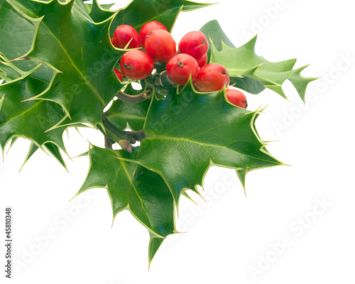 Photo: Holly Holly