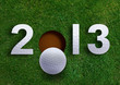 Happy new year 2013