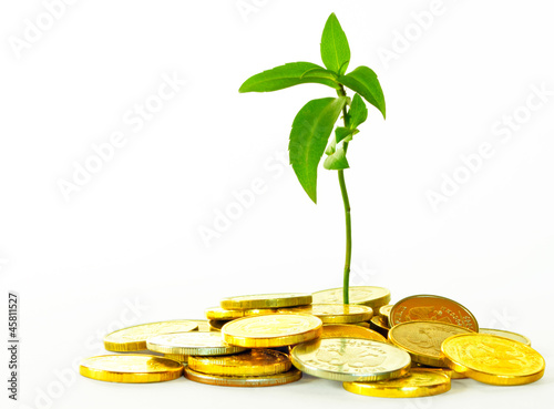 Photo: Financial strategy. Financial strategy.