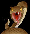 Snake Vector