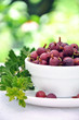 Gooseberry in bowl 