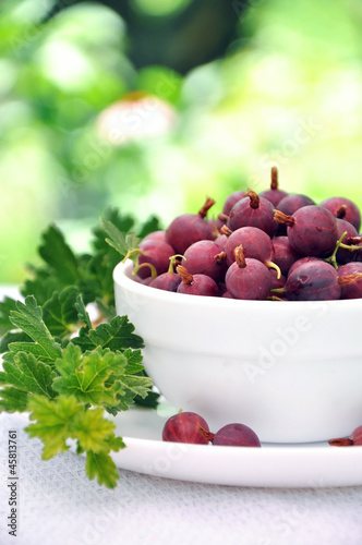 Photo: Gooseberry in bowl Gooseberry in bowl