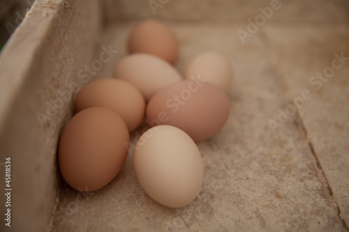 Photo: Uova Uova