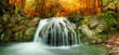 Photo: Autumn creek woods with yellow trees Autumn creek woods with yellow trees