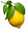 Fresh lemon