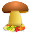 Pilz auf Herbstlaub