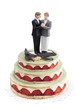 Mariage Homosexuel Homme