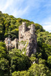 Medieval castle ruins in the foresty mountains