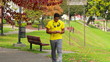 Walking while Texting