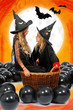 Enfants halloween
