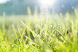 Photo: Springtime Springtime