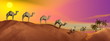 Camels in the desert