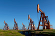 Oil