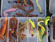 Photo: angling baits angling baits