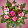 Rosenstrauß auf rosa Farbverlauf