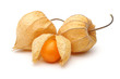 Three Physalis fruits