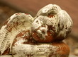 Engel 2