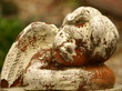 Engel 3