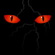 Vector: Scary eyes on the black background Scary eyes on the black background