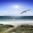 sea ​​beach