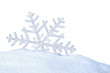 snow flake I