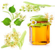 Collection of Linden flowers and Honey in glass jar