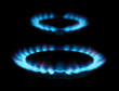 Photo: flames of gas flames of gas