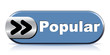 POPULAR ICON