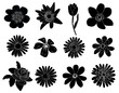 Set of black flower design elements