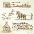 rural landscape, agriculture, village