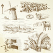 agriculture, rural village