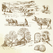 rural landscape, agriculture, farming