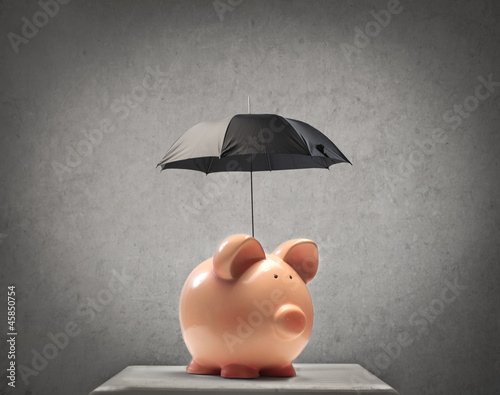 Photo: Protected Piggy Protected Piggy