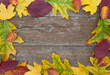Herbstlaub